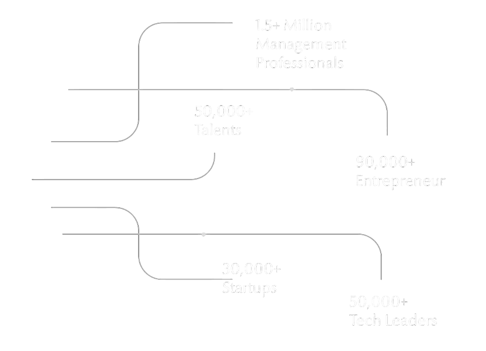 Professional Network Statistics - Desktop