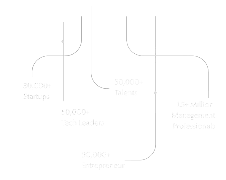 Professional Network Statistics - Mobile